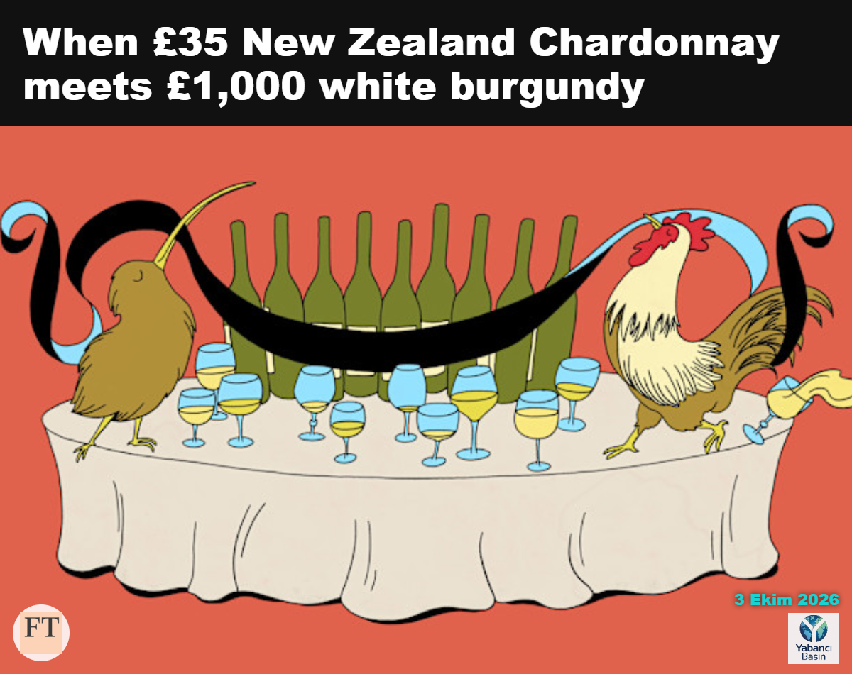 Financial Times’ın Yeni Zelanda Chardonnay’si ile beyaz Burgundy şaraplarının karşılaştırıldığı haberinin illüstrasyonu. © Debora Szpilman