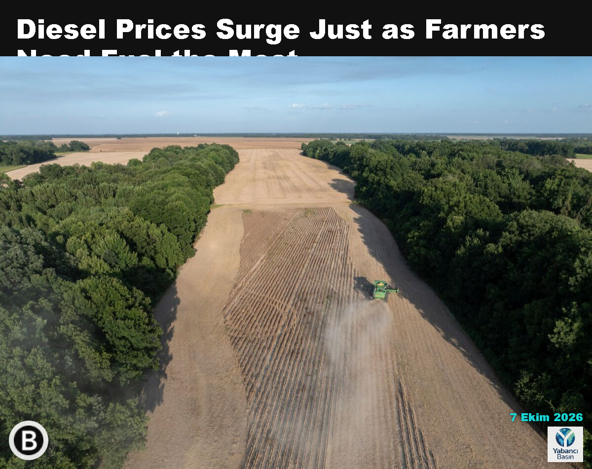 Mississippi, Shelby yakınlarındaki bir çiftlikte soya fasulyeleri hasat ediliyor. Fotoğraf: Rory Doyle/Bloomberg