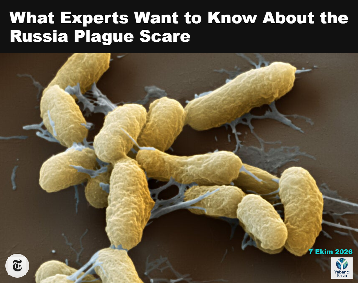 Rus sağlık yetkilileri, bir laboratuvar çalışanının ölümünü vebaya neden olan Yersinia pestis bakterisi enfeksiyonuyla ilişkilendirmedi. Eye of Science/Science Source