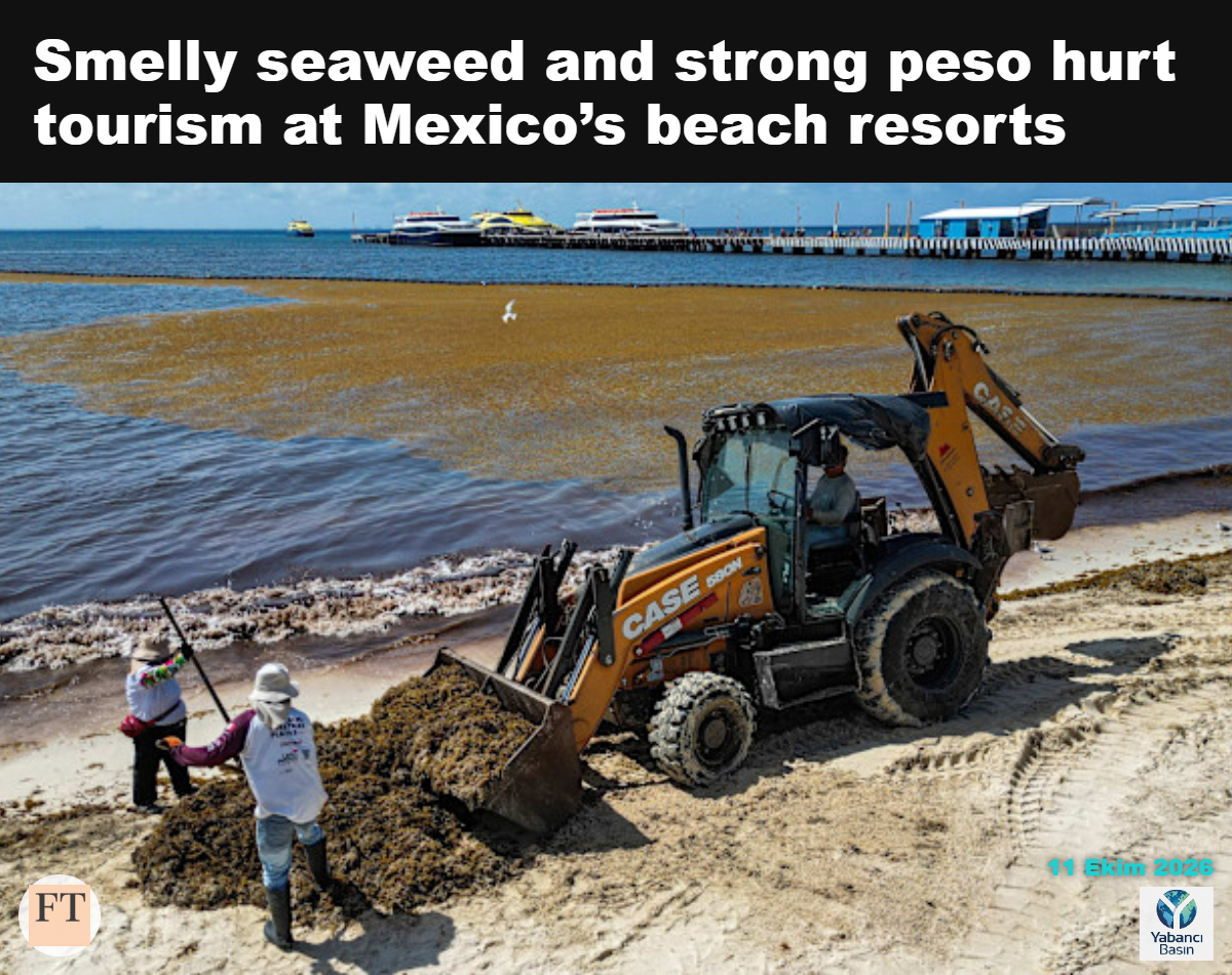 Quintana Roo eyaletindeki Playa del Carmen’de belediye çalışanları deniz yosunlarını topluyor. Meksika’nın kıyı destinasyonları sargassum istilasından etkileniyor. © Alfredo Estrella/AFP/Getty Images