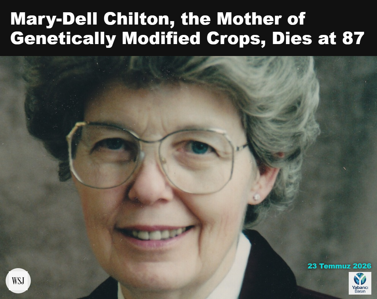 Mary-Dell Chilton, 1980'lerde. CHILTON FAMILY