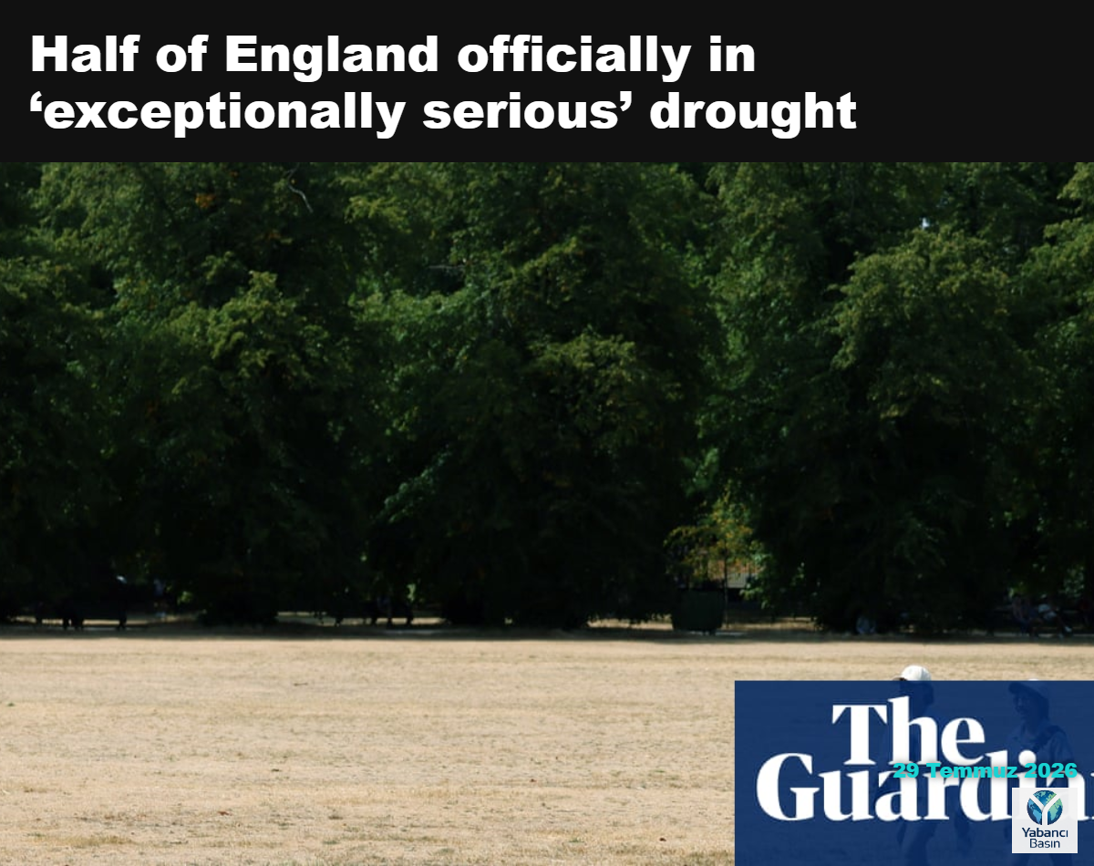 Londra’daki Greenwich’te, Çevre Ajansı tarafından resmen kuraklık ilan edilen yedi bölgeden biri olan kurak park alanı. Fotoğraf: Andy Rain/EPA